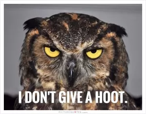 I don't give a hoot Picture Quote #1