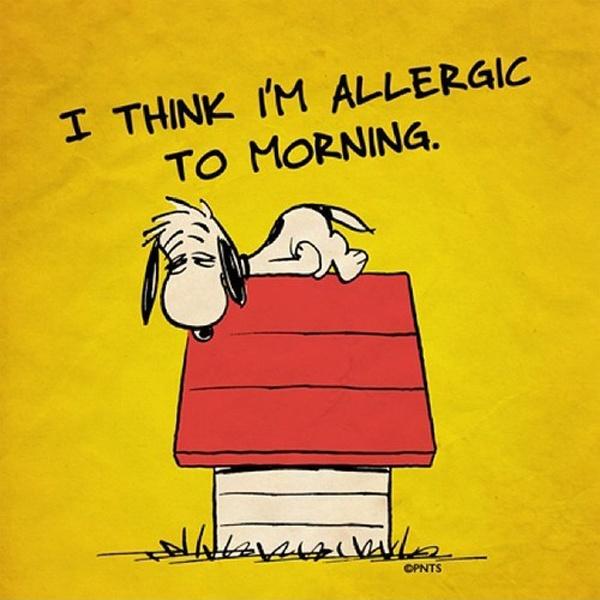 I think I'm allergic to morning Picture Quote #1