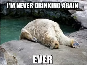 I'm never drinking again. Ever Picture Quote #1