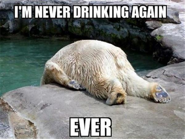 Image result for i'm never drinking again"