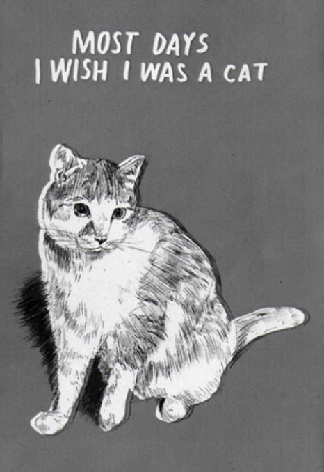 Most days I wish I were a cat Picture Quote #1
