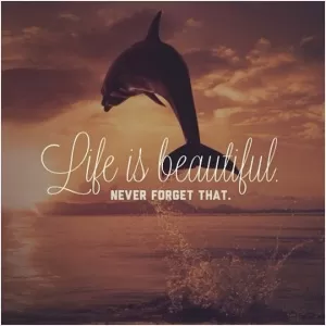 Life is beautiful, never forget that Picture Quote #1