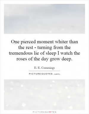 One pierced moment whiter than the rest - turning from the tremendous lie of sleep I watch the roses of the day grow deep Picture Quote #1