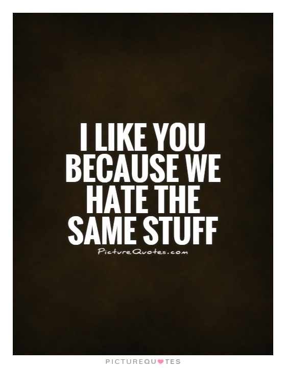I like you because we hate the same stuff Picture Quote #1