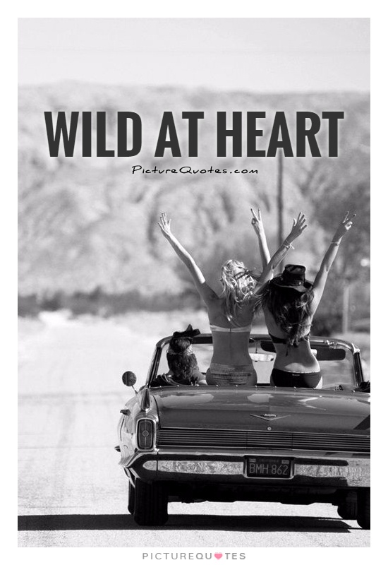 Wild at heart Picture Quote #1