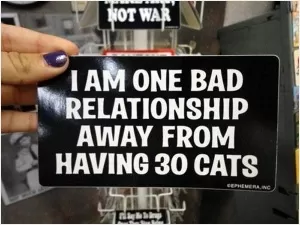 I am one bad relationship away from having 30 cats Picture Quote #1