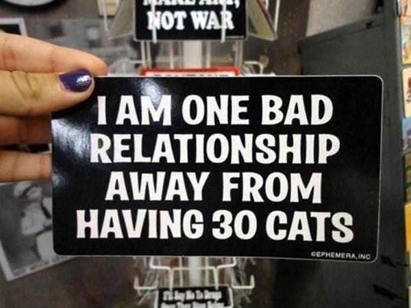 I am one bad relationship away from having 30 cats Picture Quote #1
