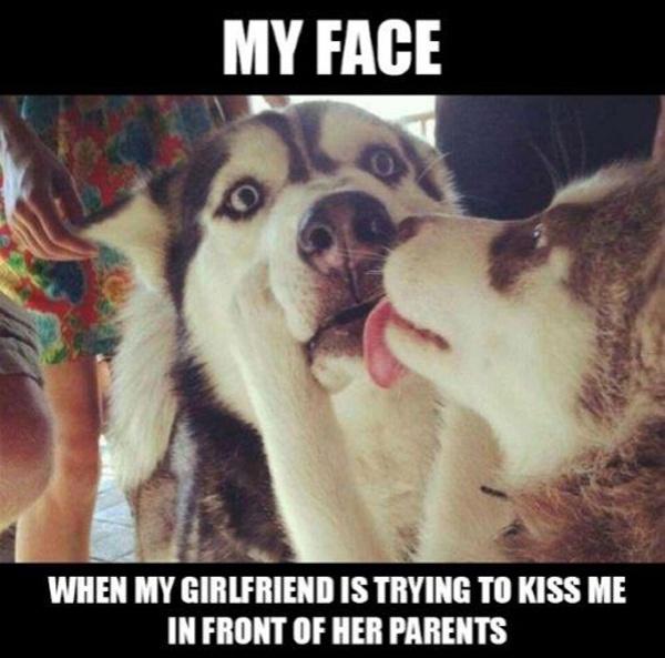 My face - when my girlfriend is trying to kiss me in front of her parents Picture Quote #1