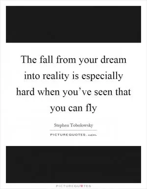 The fall from your dream into reality is especially hard when you’ve seen that you can fly Picture Quote #1