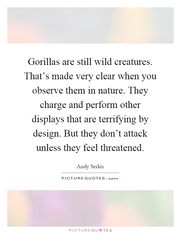 Gorillas are still wild creatures. That's made very clear when you observe them in nature. They charge and perform other displays that are terrifying by design. But they don't attack unless they feel threatened Picture Quote #1