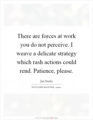 There are forces at work you do not perceive. I weave a delicate strategy which rash actions could rend. Patience, please Picture Quote #1