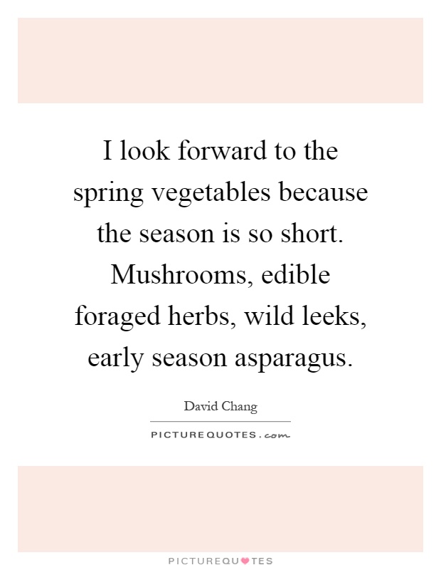 I look forward to the spring vegetables because the season is so short. Mushrooms, edible foraged herbs, wild leeks, early season asparagus Picture Quote #1