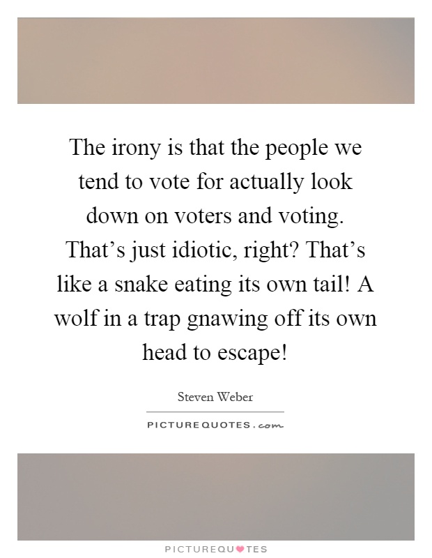 The irony is that the people we tend to vote for actually look down on voters and voting. That's just idiotic, right? That's like a snake eating its own tail! A wolf in a trap gnawing off its own head to escape! Picture Quote #1