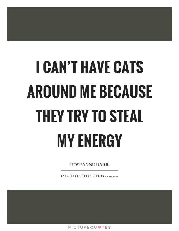 I can't have cats around me because they try to steal my energy Picture Quote #1