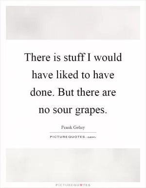 There is stuff I would have liked to have done. But there are no sour grapes Picture Quote #1