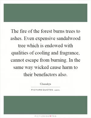 The fire of the forest burns trees to ashes. Even expensive sandalwood tree which is endowed with qualities of cooling and fragrance, cannot escape from burning. In the same way wicked cause harm to their benefactors also Picture Quote #1