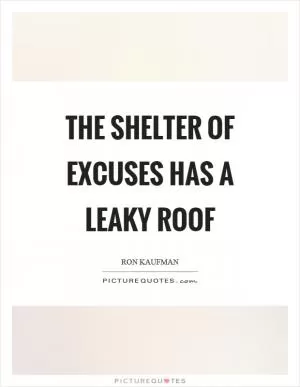 The shelter of excuses has a leaky roof Picture Quote #1