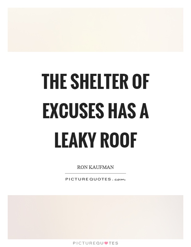 The shelter of excuses has a leaky roof Picture Quote #1