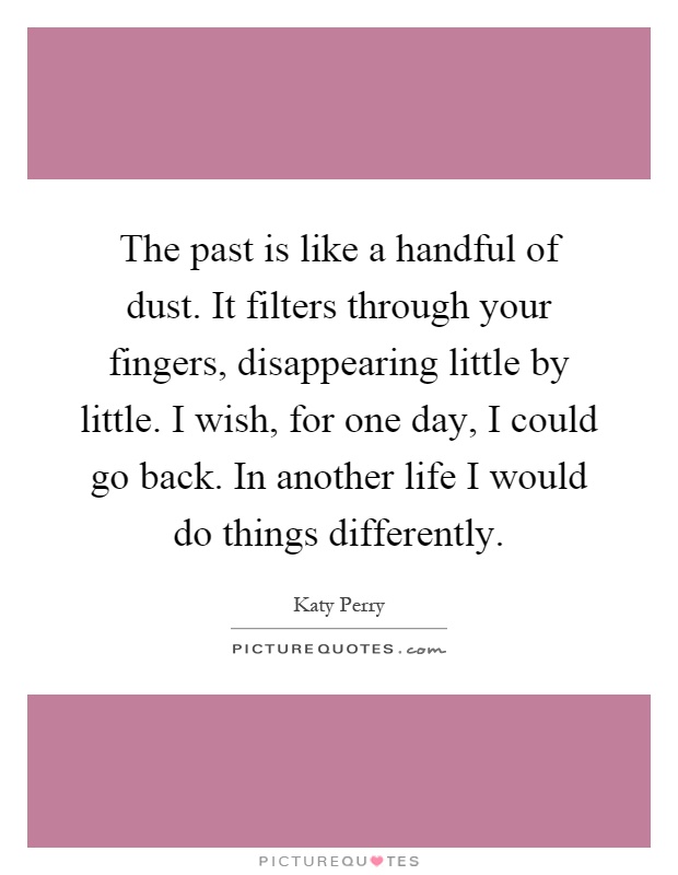The past is like a handful of dust. It filters through your fingers, disappearing little by little. I wish, for one day, I could go back. In another life I would do things differently Picture Quote #1