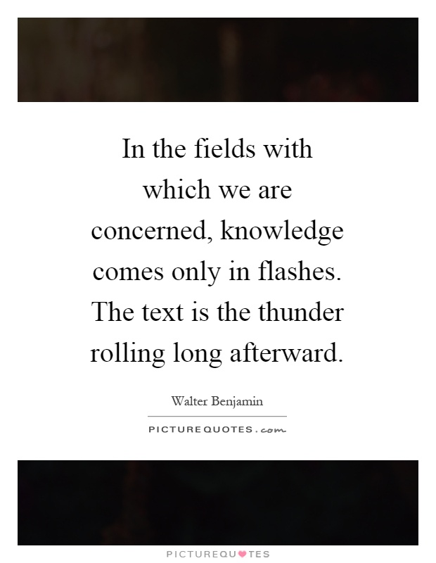 In the fields with which we are concerned, knowledge comes only in flashes. The text is the thunder rolling long afterward Picture Quote #1