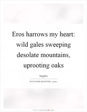 Eros harrows my heart: wild gales sweeping desolate mountains, uprooting oaks Picture Quote #1