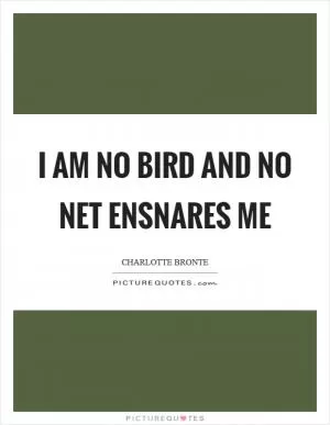 I am no bird and no net ensnares me Picture Quote #1