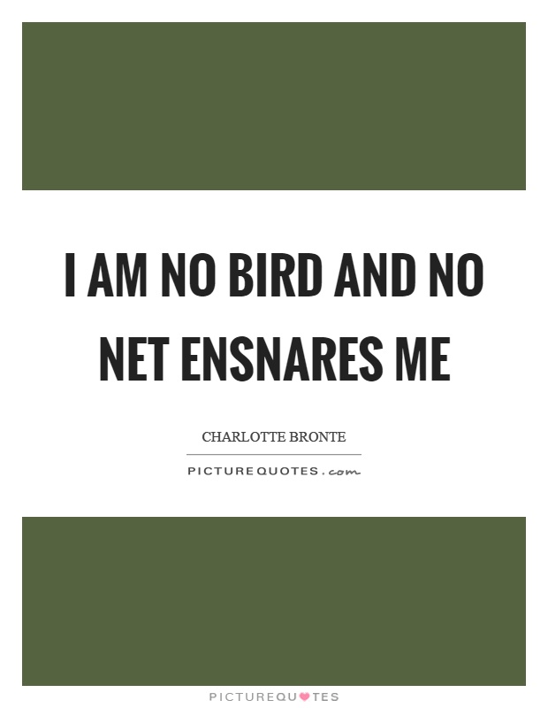 I am no bird and no net ensnares me Picture Quote #1
