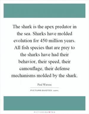 The shark is the apex predator in the sea. Sharks have molded evolution for 450 million years. All fish species that are prey to the sharks have had their behavior, their speed, their camouflage, their defense mechanisms molded by the shark Picture Quote #1