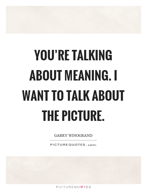 You're talking about meaning. I want to talk about the picture Picture Quote #1