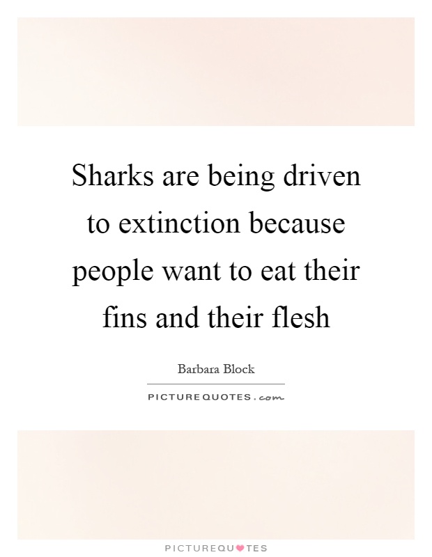 Sharks are being driven to extinction because people want to eat their fins and their flesh Picture Quote #1