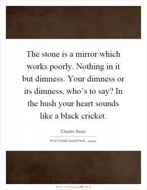 The stone is a mirror which works poorly. Nothing in it but dimness. Your dimness or its dimness, who’s to say? In the hush your heart sounds like a black cricket Picture Quote #1
