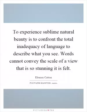 To experience sublime natural beauty is to confront the total inadequacy of language to describe what you see. Words cannot convey the scale of a view that is so stunning it is felt Picture Quote #1