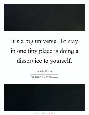 It’s a big universe. To stay in one tiny place is doing a disservice to yourself Picture Quote #1