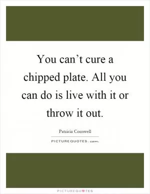 You can’t cure a chipped plate. All you can do is live with it or throw it out Picture Quote #1