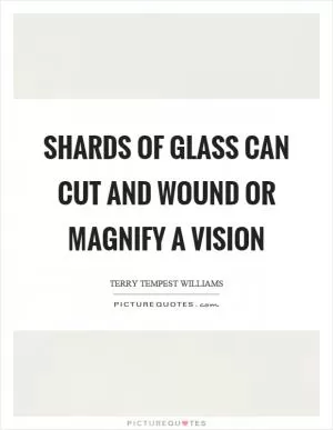 Shards of glass can cut and wound or magnify a vision Picture Quote #1