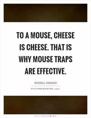 To a mouse, cheese is cheese. That is why mouse traps are effective Picture Quote #1
