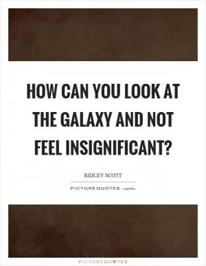 How can you look at the galaxy and not feel insignificant? Picture Quote #1