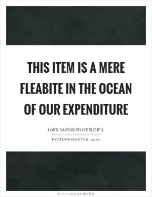 This item is a mere fleabite in the ocean of our expenditure Picture Quote #1
