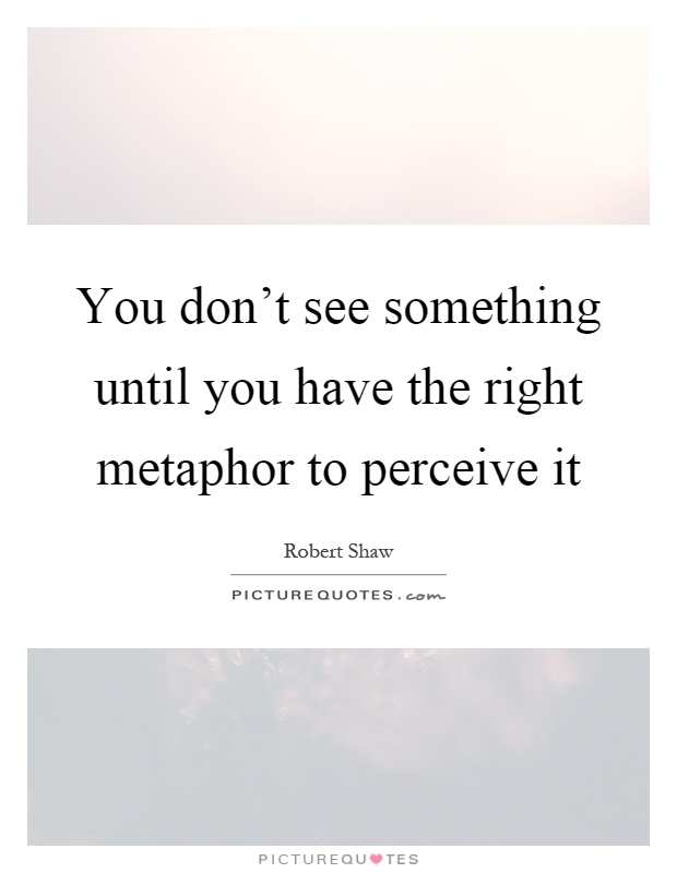 You don't see something until you have the right metaphor to perceive it Picture Quote #1