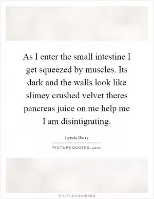 As I enter the small intestine I get squeezed by muscles. Its dark and the walls look like slimey crushed velvet theres pancreas juice on me help me I am disintigrating Picture Quote #1
