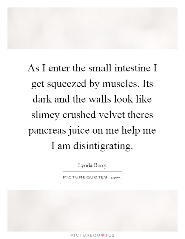 As I enter the small intestine I get squeezed by muscles. Its dark and the walls look like slimey crushed velvet theres pancreas juice on me help me I am disintigrating Picture Quote #1