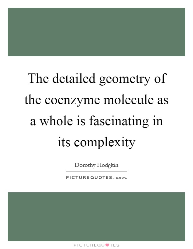 The detailed geometry of the coenzyme molecule as a whole is fascinating in its complexity Picture Quote #1