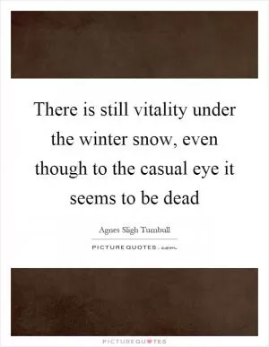 There is still vitality under the winter snow, even though to the casual eye it seems to be dead Picture Quote #1