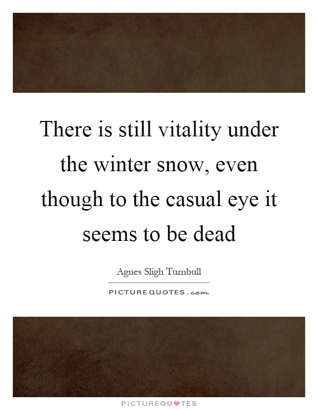 There is still vitality under the winter snow, even though to the casual eye it seems to be dead Picture Quote #1