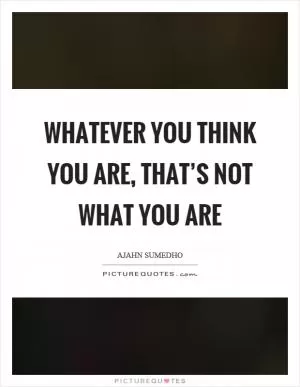 Whatever you think you are, that’s not what you are Picture Quote #1