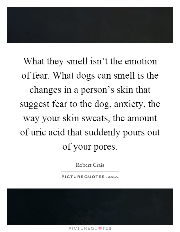 What they smell isn't the emotion of fear. What dogs can smell is the changes in a person's skin that suggest fear to the dog, anxiety, the way your skin sweats, the amount of uric acid that suddenly pours out of your pores Picture Quote #1