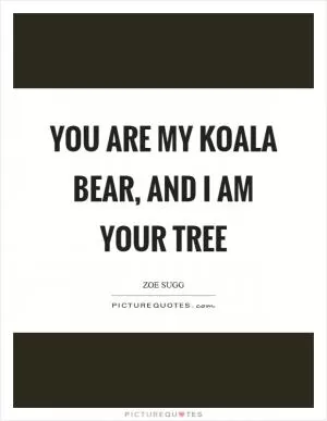 You are my koala bear, and I am your tree Picture Quote #1