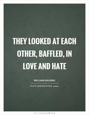 They looked at each other, baffled, in love and hate Picture Quote #1