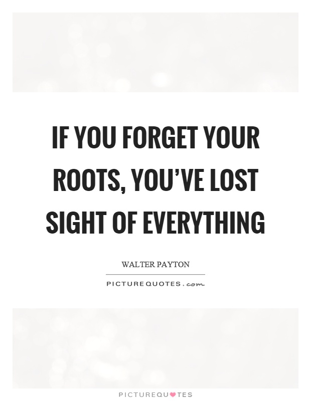 If you forget your roots, you've lost sight of everything Picture Quote #1