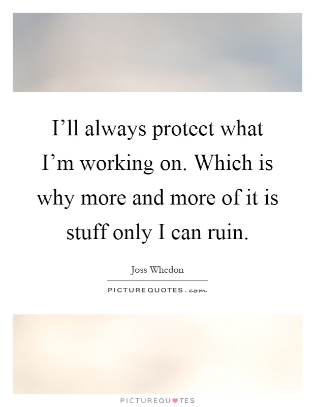 I'll always protect what I'm working on. Which is why more and more of it is stuff only I can ruin Picture Quote #1
